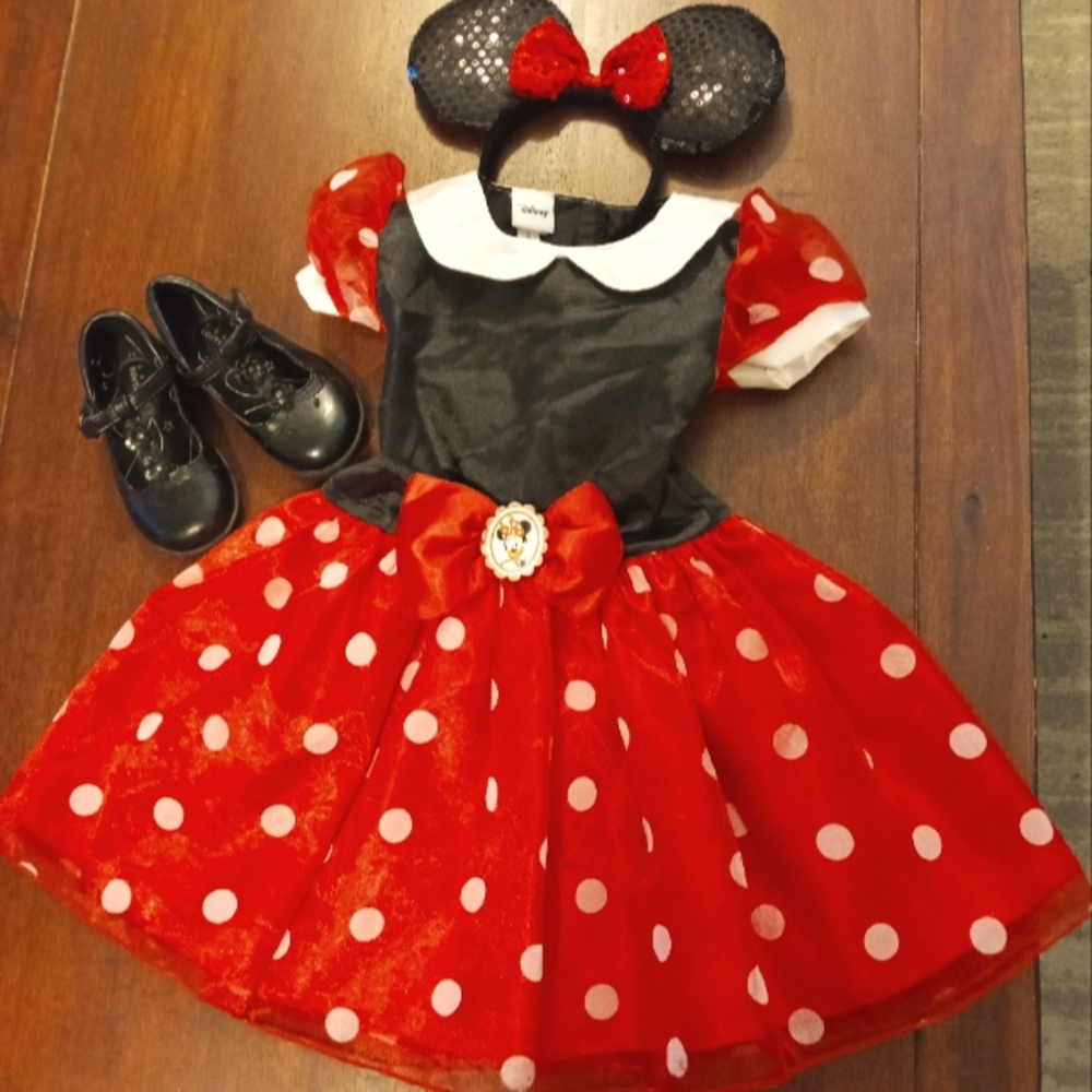 Minnie Mouse costume